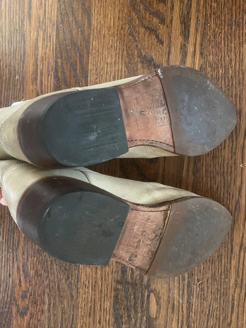 Frye Billy Short Pull-On in unique cream color - Picture 6 of 8